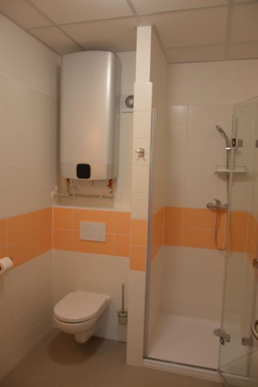 Penzion Havelka apartmány Železná Ruda Exterior foto